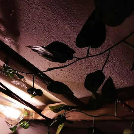 아파트 The Artist's House 체팔루